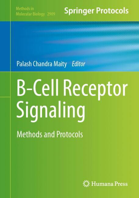 B-Cell Receptor Sig… - image