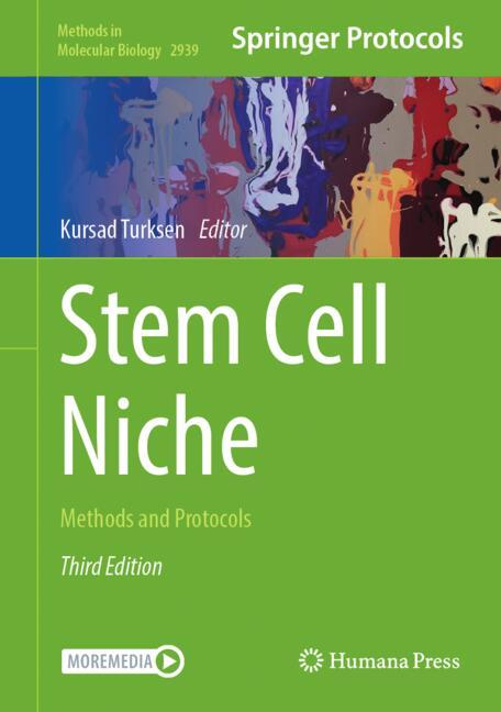 Stem Cell Niche