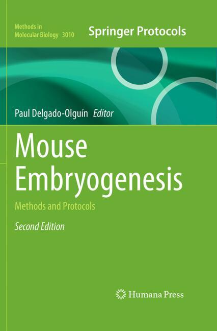 Mouse Embryogenesis