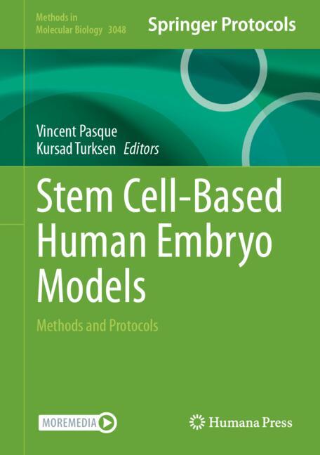 Stem Cell-Based Human Embryo Models