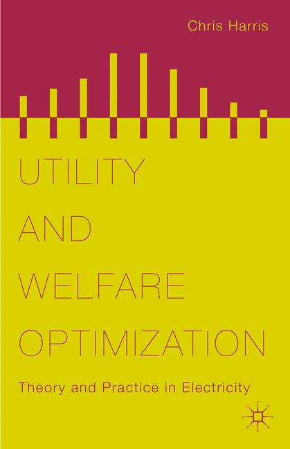 Utility and Welfare Optimization : Theory and Practice in Electricity