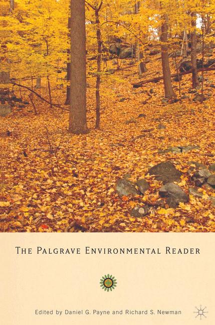 The Palgrave Enviro… - image