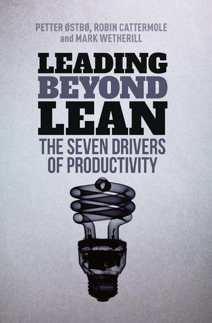 Leading Beyond Lean - image