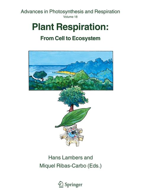 Plant Respiration - image
