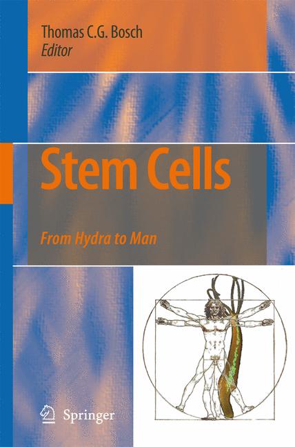 Stem Cells - image