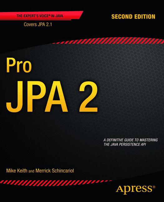 Pro Jpa 2 - image