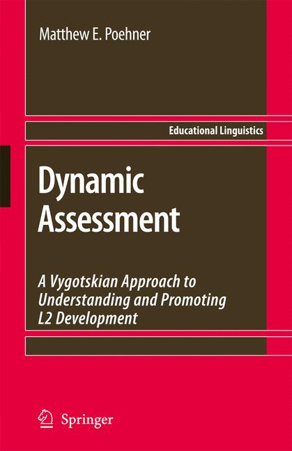 Dynamic Assessment - image