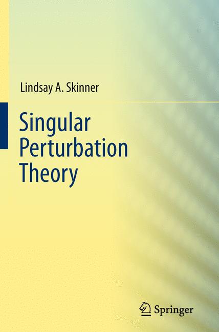 Singular Perturbati… - image