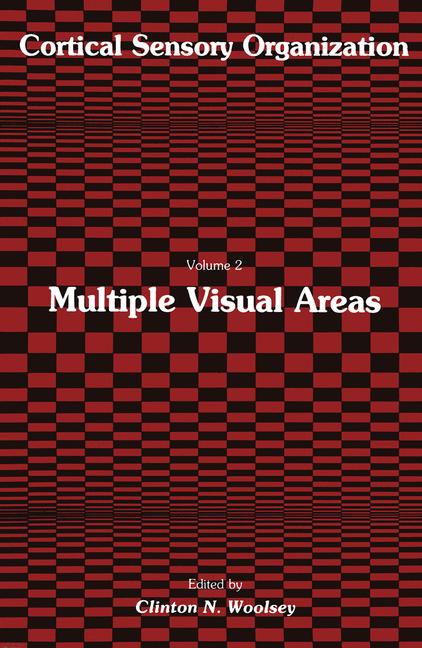 Multiple Visual Are…