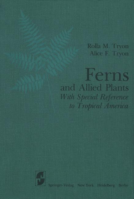 Ferns And Allied Plants