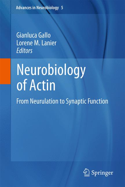 Neurobiology Of Act…