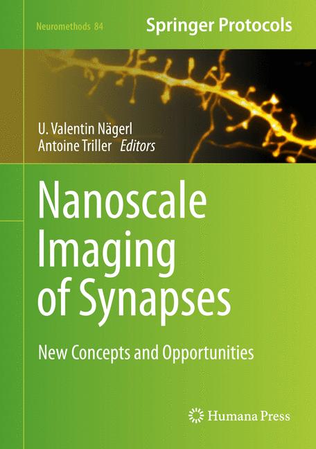 Nanoscale Imaging O…