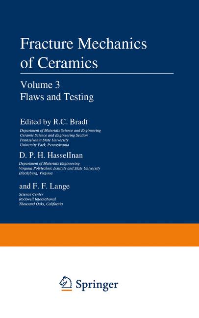 Flaws And Testing - image