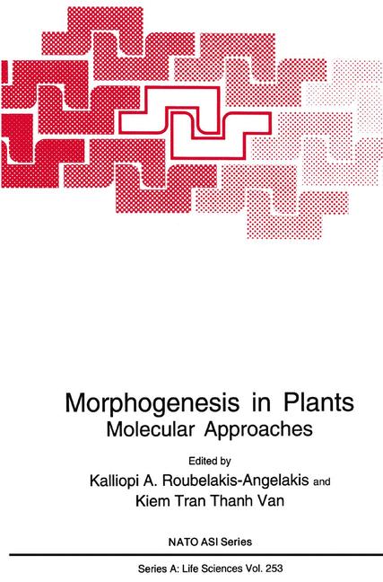 Morphogenesis In Pl… - image