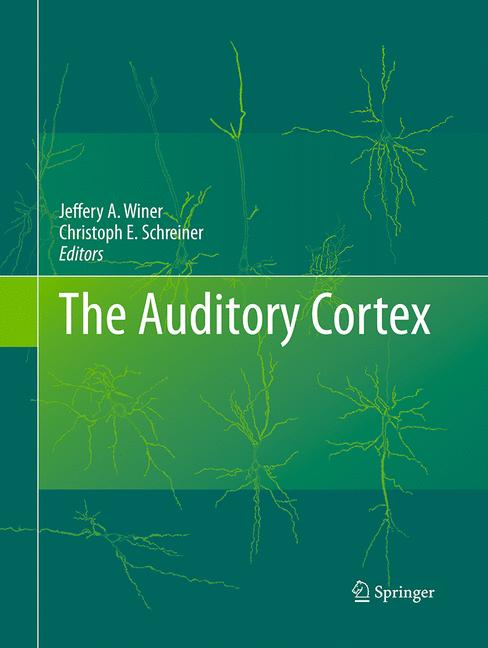 The Auditory Cortex