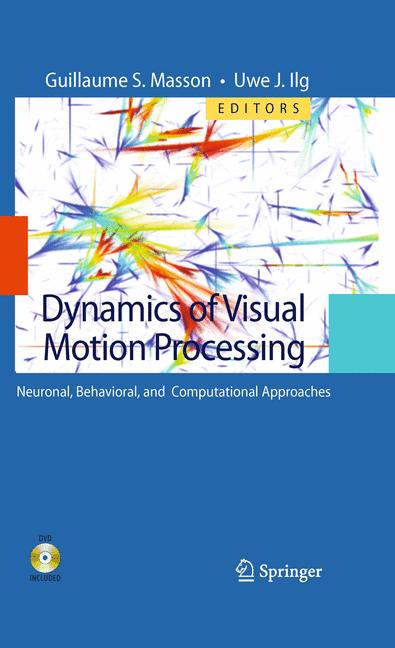 Dynamics Of Visual …