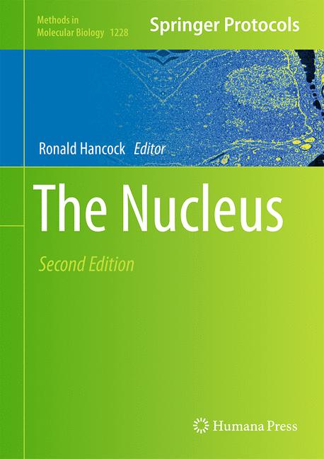 The Nucleus