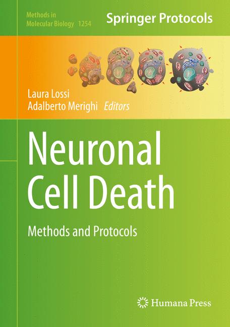 Neuronal Cell Death - image