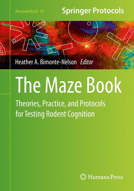 The Maze Book - image