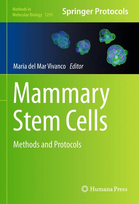 Mammary Stem Cells