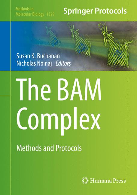 The Bam Complex - image