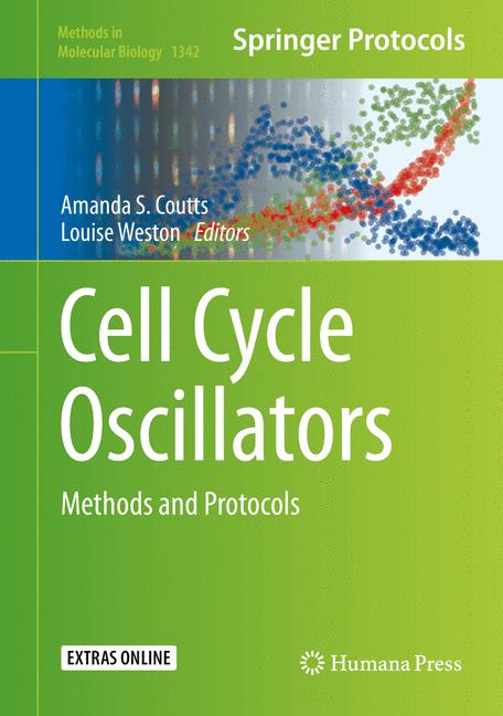 Cell Cycle Oscillat… - image
