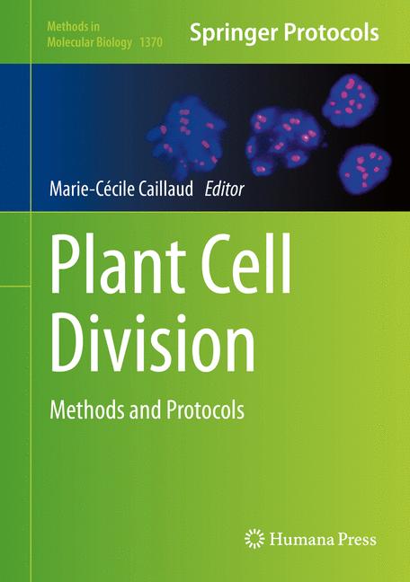 Plant Cell Division - image