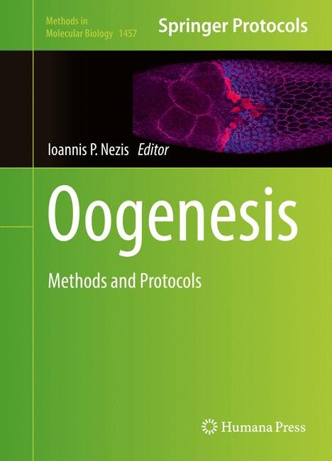 Oogenesis