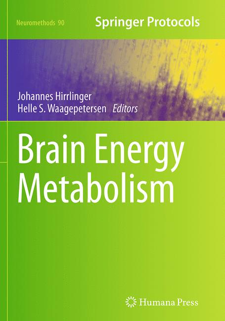 Brain Energy Metabo…