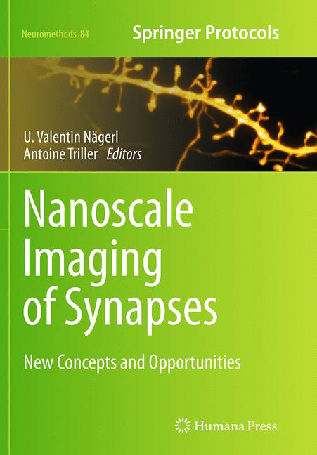 Nanoscale Imaging O…