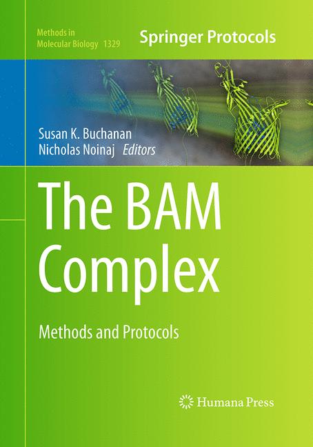 The Bam Complex - image