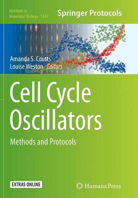 Cell Cycle Oscillat… - image