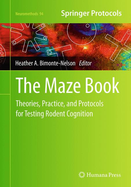 The Maze Book - image