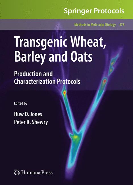 Transgenic Wheat, B… - image