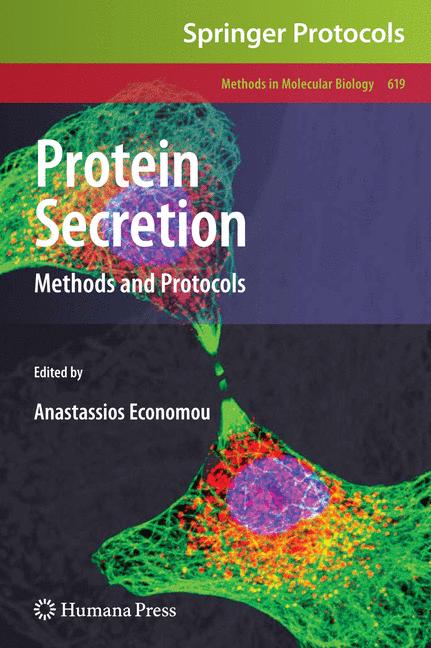 Protein Secretion - image