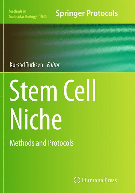 Stem Cell Niche