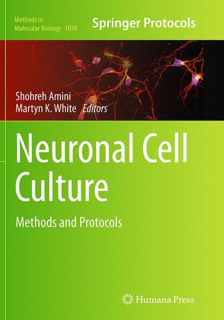 Neuronal Cell Cultu… - image