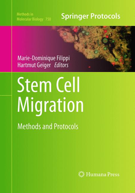 Stem Cell Migration - image