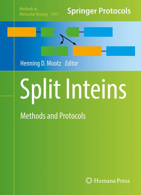Split Inteins