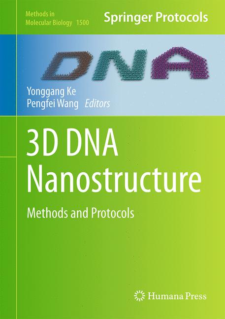 3D Dna Nanostructure