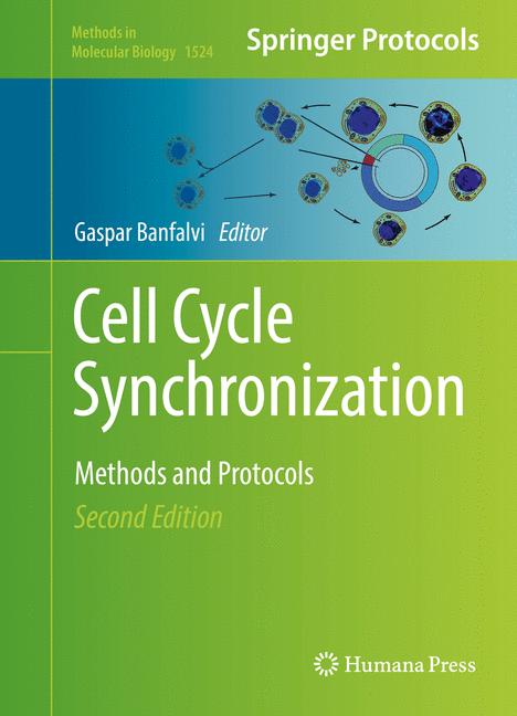 Cell Cycle Synchron… - image