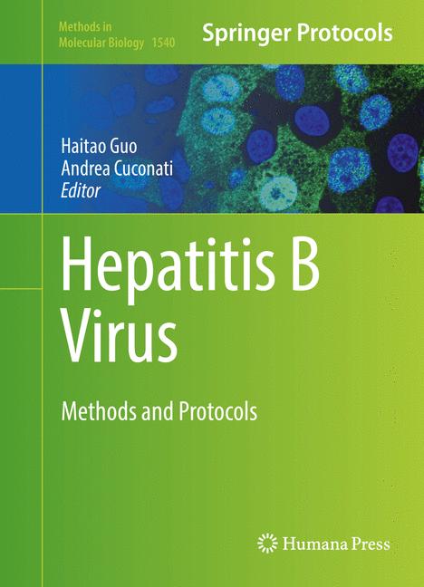 Hepatitis B Virus - image