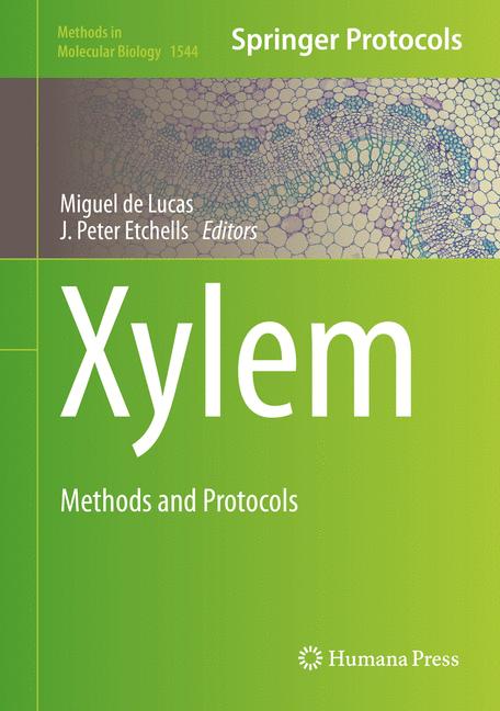 Xylem