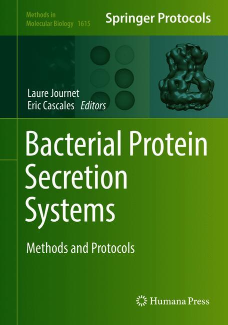Bacterial Protein S… - image