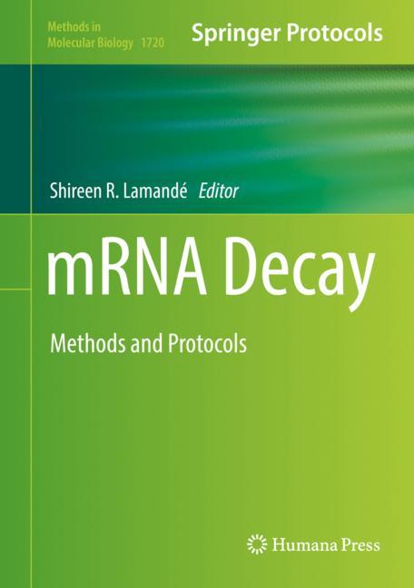 Mrna Decay - image