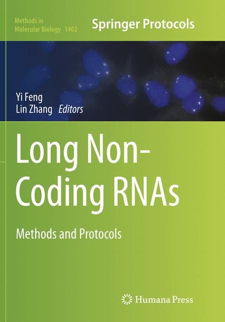 Long Non-Coding Rnas - image