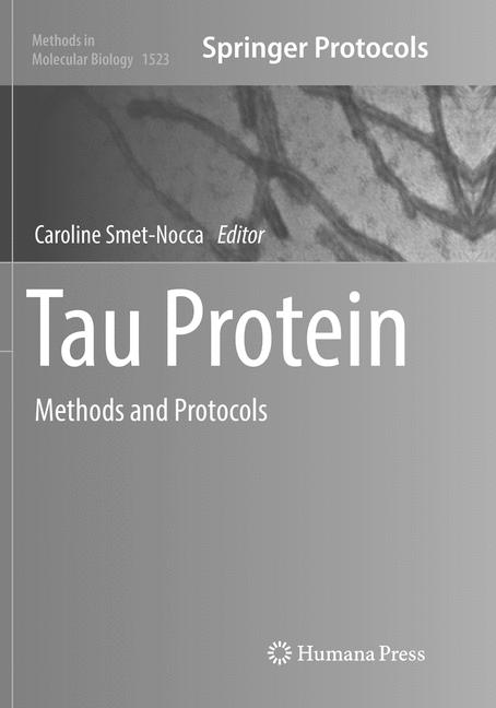 Tau Protein - image