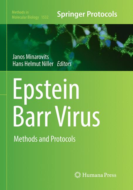 Epstein Barr Virus - image