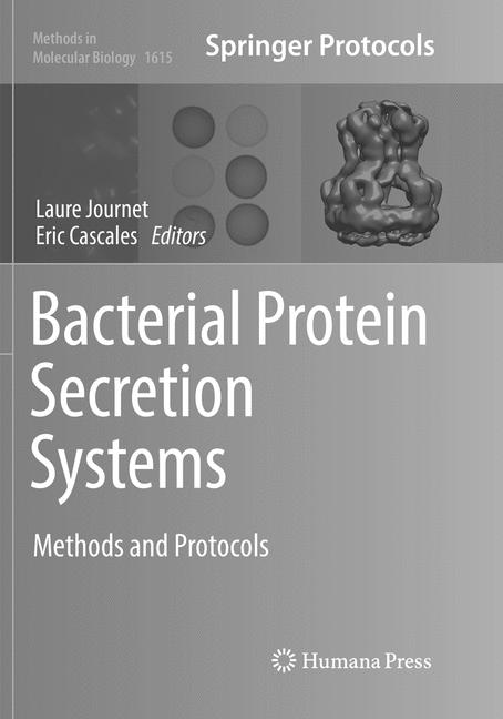 Bacterial Protein S… - image