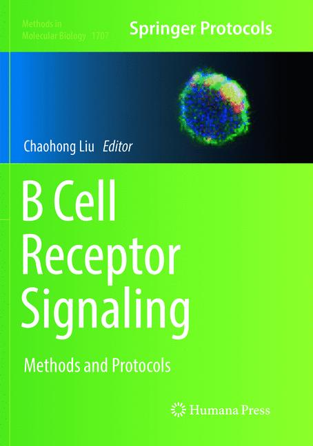 B Cell Receptor Sig…